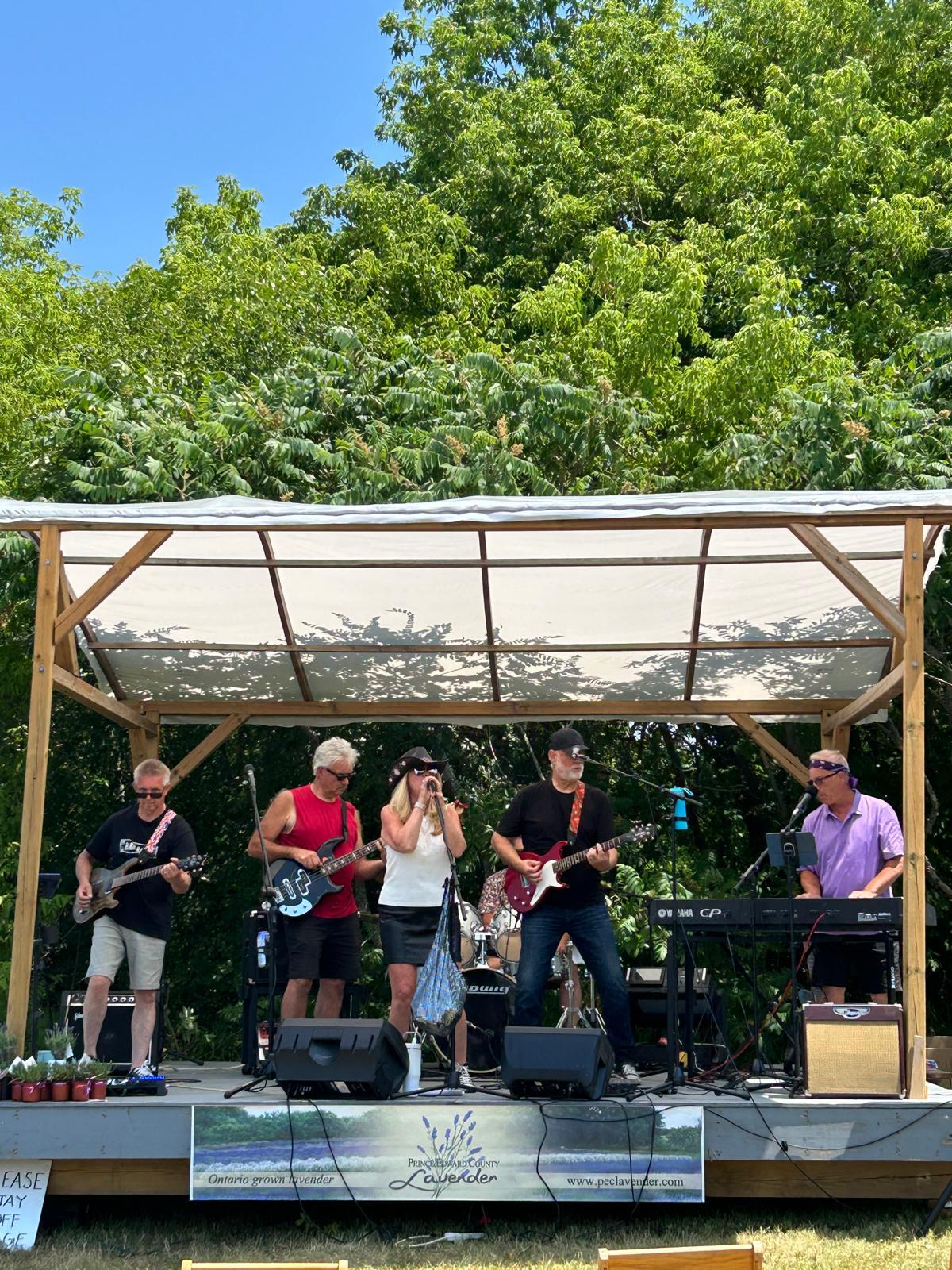 BARN BANDits at the PEC Lavender Festival